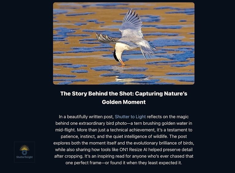 Screenshot of the ON1 Partner Spotlight email titled “Need Some Editing Inspiration? See What These Creators Are Doing,” featuring my “Kiss of Gold” post as a highlighted creator.